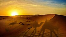 Camel Ride Dubai With Bedouin Breakfast