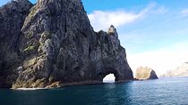 [PRIVATE] Bay of Islands Discovery From Auckland