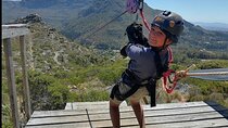 Lion's Head Hike, Constantia Zipline and Winery, Noordhoek Beach