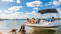 Raccoon Island in a Private Boat Tour