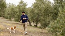 OLIVE OIL & WINE TOUR - Organic Fields 5 Wines + 3 Olive Oils 