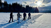 Scenic Sunset Snowshoe Tour