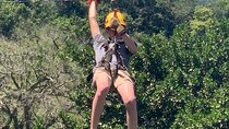 Tours to Tyroleza Waterfalls and Monkeys 3 Tours in One