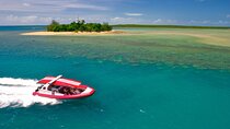 Half Day Low Island and Lagoon Snorkeling from Port Douglas