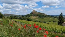 Tastings and private guided tour SOUTH BURGUNDY: Le Maconnais