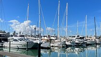 Auckland City Of Sails Private Tour