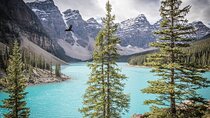 Athabasca - Experience the Moraine, Louise & Peyto Lakes (3-Days)
