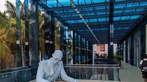 South Beach Design district Wynwood 3h French tour