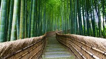 Kyoto and Miyama Full Day Tour from Osaka
