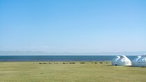 Epic Trip from Bishkek to Osh via Issyk-Kul and Song-Kol Lakes