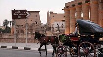 Explore Luxor City on a Horse Carriage Tour