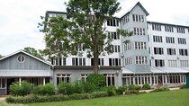 From Colombo: Kandy and Tea Plantations Day Trip