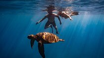 Underwater Photoshoot
