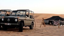 Morning Heritage Safari in Al Marmoom 