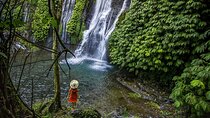 Most Beautiful Waterfall: Banyumala Waterfall