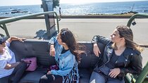 Foz and Beyond Exploring Porto Gaia and the Douro