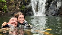 Oahu in a Day: Waterfall - Food Trucks - Lookouts - Small Crowds 