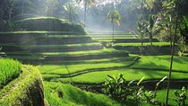 Ubud Tour Water Temple with Jungle Swing