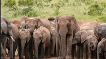 5-Days Garden Route Tour From Port Elizabeth to Cape Town 