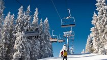 Private Trip Bakuriani & Borjomi Day Tour with Lots of Activities