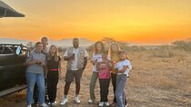 3-Day Game Drive Safari at Garden Route Lodge, South Africa