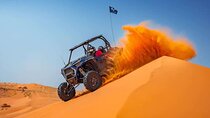 Morning Desert Safari with Buggy