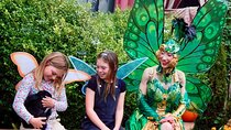 San Francisco Gregangelo Museum - Immersive Kids' Tour