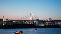 Tokyo Private Day Trip with English Speaking Driver