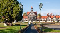 Rotorua Tour from Auckland with buffet Lunch at Skyline Summit