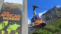 Private Cape Town City Tour table Mountain with wine tasting