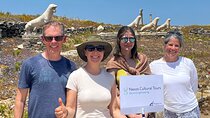 Small Group Delos Visit with Expert Guide from Mykonos