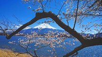 Mount Fuji Full Day Tour form Tokyo Lake Kawaguchi & Yamanaka