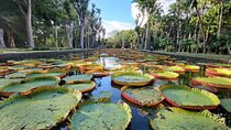 Discover North Mauritius: Private & Tailored Full-Day Adventure 