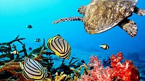 Key Largo Coral Reef Park and Sunset Celebration 