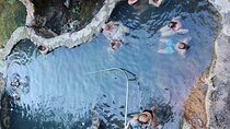Waterfall swimming + Hot springs- volcanic mud+Lunch buffet