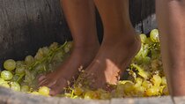 Afternoon of Grape Stomping and Wine Tasting in the Countryside