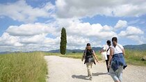 Hike & Wine Tour
