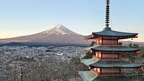 From Tokyo: Mount Fuji Full Day Private Tour With Engish Driver 