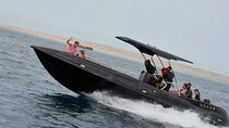 Dolphin Speed Boat Trip with Underwater Island