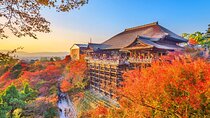 Kyoto Temples to Uji Cultural Day Tour from Osaka and Kyoto