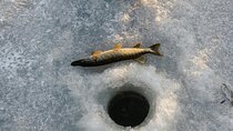 Ice Fishing Festival from Seoul
