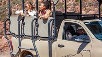Big 5 Safari Aquila Game Reserve 
