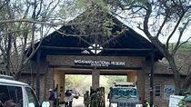  Overnight Maasai Mara Safari Tour from Nairobi