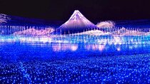 Nagoya Nagashima Outlet Mall & Nabana no Sato Park Day Tour