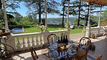 Private Rhône-Valley wine tour 