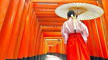 Kyoto & Nara & Uji: Full Day Sightseeing Tour from Osaka or Kyoto