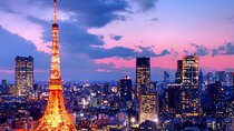 3 to 5 Hours Private Tour in Tokyo with Local Guide