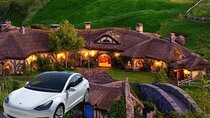 Full-Day Driver with Tesla Model 3-Customisable North Island Tour
