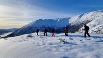 Snowshoe hiking Bergen Private Norway Mountain Guides