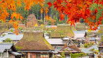 Kyoto Ine Bay, Amanohashidate and Miyama Village Tour From Osaka